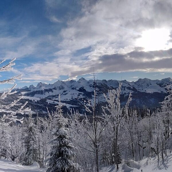 
									Winterimpressionen: Bild 5
								